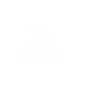 Blasic